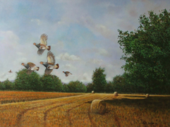 010 - Partridges Over Stubble