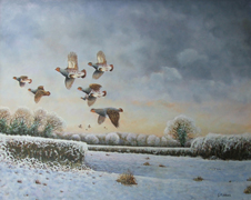 22 - English Partridges in the Snow