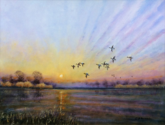 NEW 04 - Ducks at Sunset